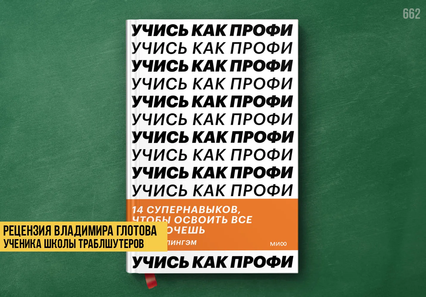 Рецензия учеников на книгу «Учись как профи»